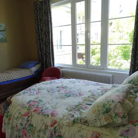 Vue Sur Chateau Et Loire *